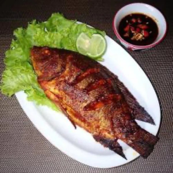 POISSON CARPE // CARP FISH