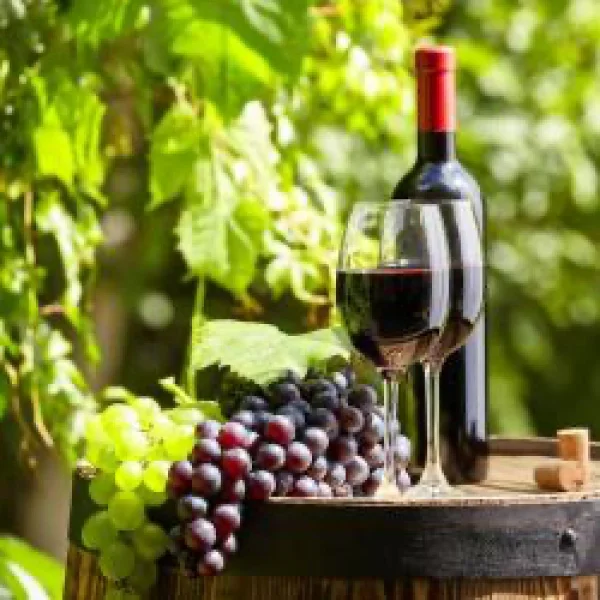 BOUTEILLE DE VIN ROUGE